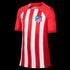Nike Atletico Madrid 23/24 Youth Home Jersey DX2754-613