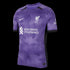 Nike Liverpool 23/24 Third Jersey DX9822-568