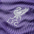 Nike Liverpool 23/24 Third Jersey DX9822-568