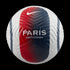 Nike Paris Saint-Germain Academy Ball FB2976-100