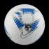 Nike Premier League Academy Ball FB2985-105