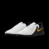Nike Phantom GX 2 Academy Indoor Shoes FJ2581-100