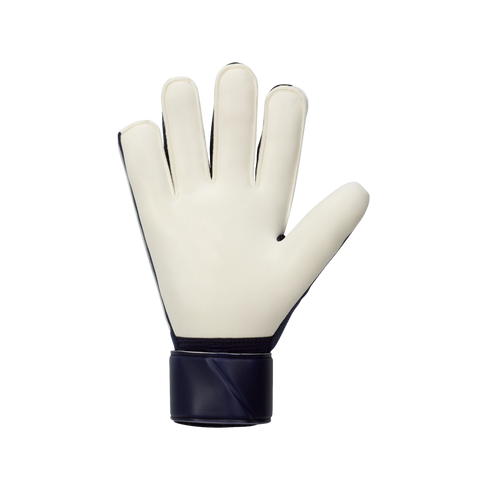 Nike Match Goalkeeper Gloves FJ4862-420