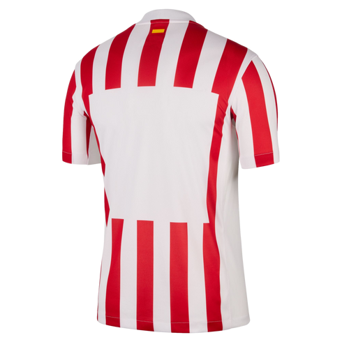 Back view of a red and white vertically striped soccer jersey with a large central white panel for player details and a small flag on the back neck.