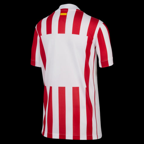 Nike Atletico Madrid 25/26 Youth Home Jersey HJ5281-615