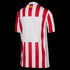 Nike Atletico Madrid 25/26 Youth Home Jersey HJ5281-615