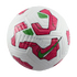 Nike Liga MX Academy Ball HM3952-100