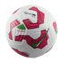 Nike Liga MX Academy Ball HM3952-100