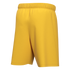 Nike Youth Dri-FIT Park III Short - Gold BV6866-739