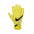 Nike Match Goalkeeper Gloves CQ7799-765