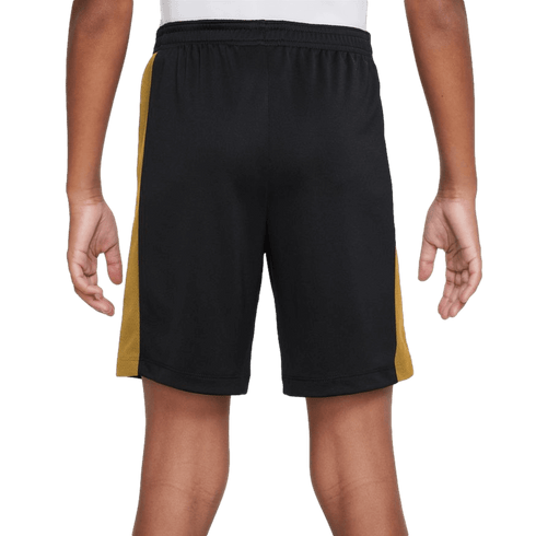 Nike Dri-FIT Academy 23 Youth Shorts - Black DX5476-011