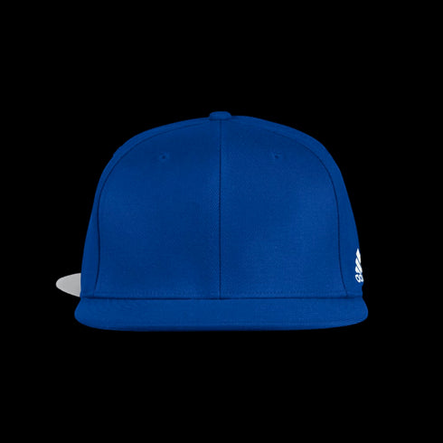 Adidas Flat Flex Cap EC2612