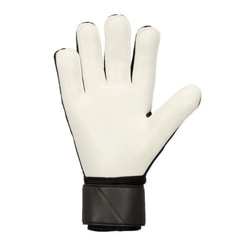 Nike Match Goalkeeper Gloves FJ4862-013