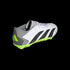 Adidas Predator Accuracy.3 Low Firm Ground Cleats