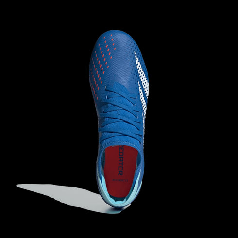 Adidas Predator Accuracy.3 Firm Ground Cleats GZ0026