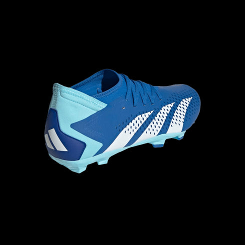 Adidas Predator Accuracy.3 Firm Ground Cleats GZ0026
