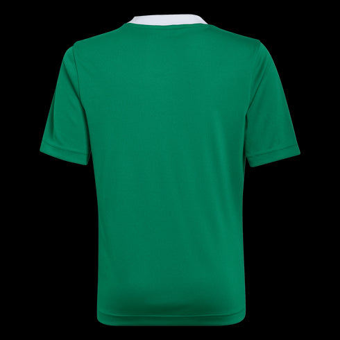 adidas Youth Entrada 22 Jersey - Green HI2126