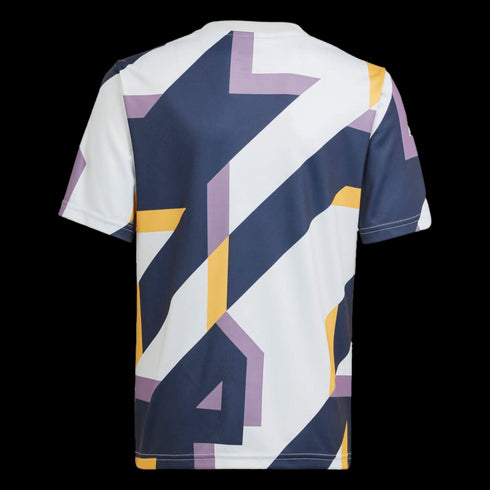 Adidas Real Madrid Youth Pre-Match Jersey IB0032