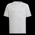 adidas Youth Campeon 23 Jersey - Grey IC1240