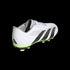 Adidas Predator Accuracy.4 Youth Firm Ground Cleats IE9434