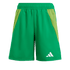 adidas Youth Tiro 24 Competition Match Shorts - Green IV7234