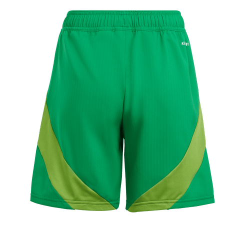 adidas Youth Tiro 24 Competition Match Shorts - Green IV7234