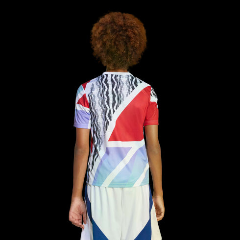 Adidas Arsenal Youth Pre-Match Jersey JE7565