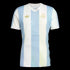 Adidas Argentina 50th Anniversary Jersey JF2641