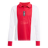 Adidas Ajax 125th Anniversary Youth Jersey JF6339