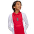 Adidas Ajax 125th Anniversary Youth Jersey JF6339