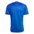 Back view of a blue soccer jersey with a leaf pattern and gold trim on the neck and sleeves. Gold 'AZZURRA' text on the back collar. Black background.