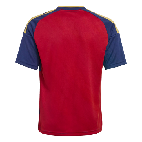 Back view of a red and blue sports jersey with yellow shoulder stripes against a black background.