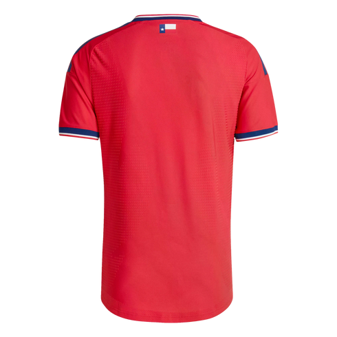 Back view of a red sports jersey with blue and white trim on the collar and sleeves. A small Texas state flag is centered below the collar. Solid black background.