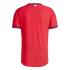 Back view of a red sports jersey with blue and white trim on the collar and sleeves. A small Texas state flag is centered below the collar. Solid black background.