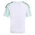Back of a white short-sleeved jersey featuring mint green and white striped sleeves and black shoulder accents.