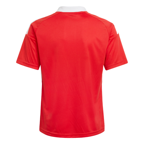 Back view of a red short-sleeved sports jersey with a white collar and white shoulder stripes against a black background.