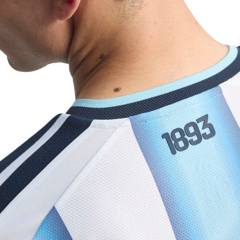 Close-up of a person's neck and shoulder wearing a light blue and white striped jersey with "1893" printed on the back collar area.