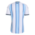 Back view of a white and light blue vertically striped soccer jersey with "1893" printed at the top center.