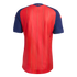 Back of a red Spain national team jersey with blue sleeves and yellow pinstripes. "España" is printed in yellow on the dark blue collar.