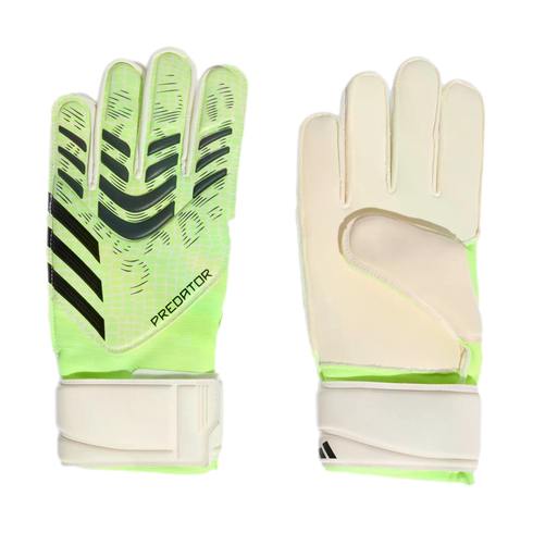 A pair of Adidas Predator goalkeeper gloves showing the neon green backhand with black patterns and the white palm side. Both have white wrist straps on a black background.