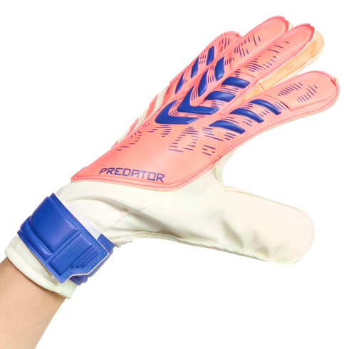 A pink and white Adidas Predator goalkeeper glove with blue accents, worn on a hand against a solid black background.