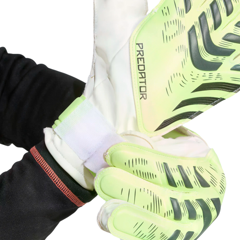 A person fastens the white velcro strap of a lime green and white Adidas Predator goalkeeper glove. The glove features dark grey textured patterns.