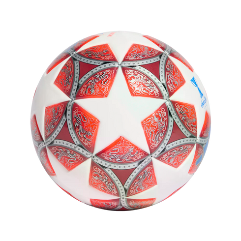Soccer ball with white and red star panels decorated with intricate silver lion patterns, centered on a black background.