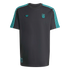 Charcoal grey Adidas short-sleeve t-shirt featuring a teal Liverpool FC crest and Adidas trefoil logo. Teal and grey stripes run along the shoulders.