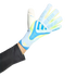 Adidas Predator Pro Goalkeeper Gloves