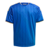Back of a blue sports jersey with a leaf-like pattern, gold trim on the collar and sleeves, and "AZZURRA" printed in gold on the neck.