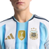 Close-up of Argentina's home jersey with light blue and white stripes, featuring the golden FIFA World Champions 2022 patch and the AFA crest with three stars.