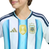 Close-up of an Argentina soccer jersey with a gold FIFA World Champions 2022 patch, three-star team crest, and gold Adidas logo.