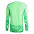 Back view of a long-sleeved green athletic jersey with a solid light-green center and geometric maze patterns on the sleeves and bottom hem.