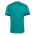 Rear view of a teal athletic jersey with dark blue collar and sleeve trim. A small "ARGENTINA" sun logo is centered on the upper back.